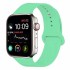 Силиконовый ремешок Sport для Apple Watch 42 44 мм (Зеленый) 