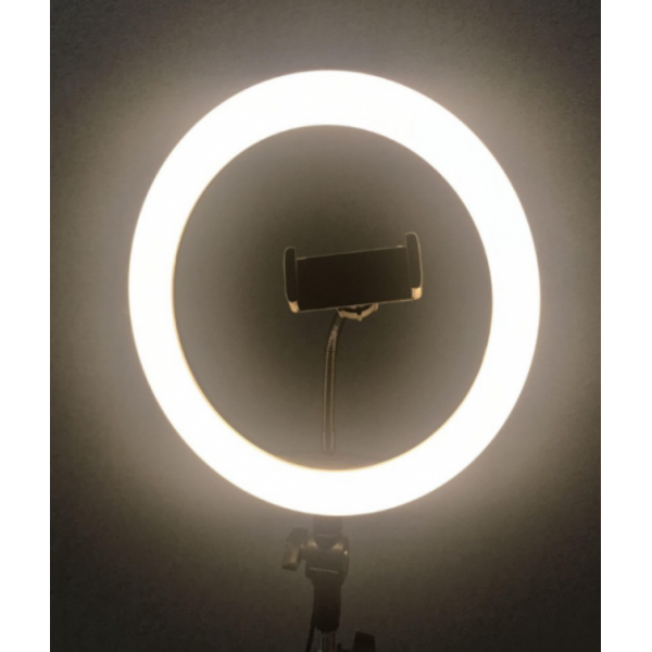 Кольцевая светодиодная лампа освещение для профессиональной съемки, селфи лампа с держателем для смартфона и пультом Ring Fill Light ZD-666 12 дюймов (Черный)