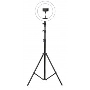 Светодиодная кольцевая лампа Jmary FM-536A 26 см (Черный)