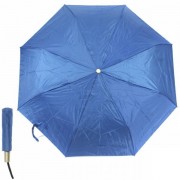 Зонт женский автоматический Pasio PS-6824-5 (Синий)