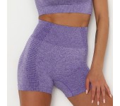 Бесшовные короткие спортивные шорты для фитнеса и йоги (Фиолетовый) размер M