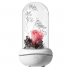 Лампа с диффузором эфирного масла Роза под куполом (Розовый)