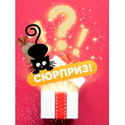 Сюрпризбокс СЛУЧАЙНЫЙ товар