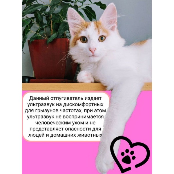 Ультразвуковой отпугиватель Pest Reject 2 шт