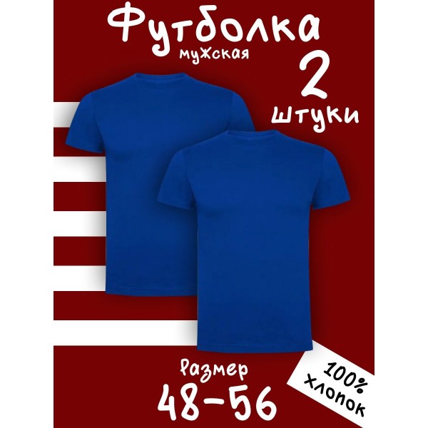 Мужская футболка M (Василек) 2 шт