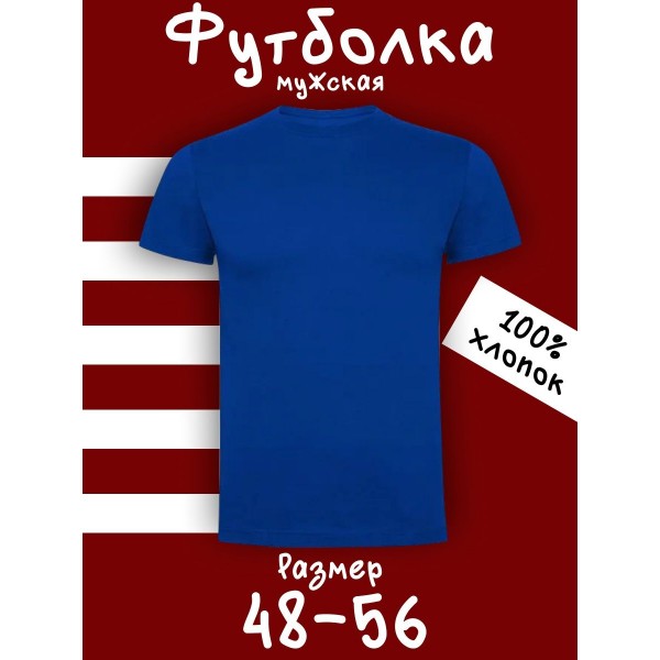Мужская футболка XXL (Василек)